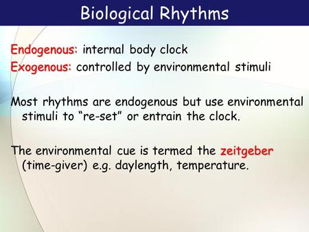 Biological Rhythms Endogenous: Endogenous: internal body clock Exogenous: Exogenous: controlled by environmental stimuli Most rhythms are endogenous but.