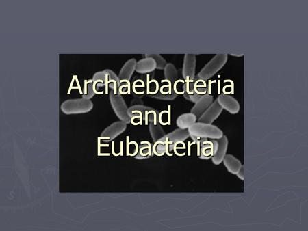 Archaebacteria and Eubacteria. What are bacteria? ► Bacteria are prokaryotes (no membrane bound nucleus) ► Smallest living known cells ► Found Everywhere.