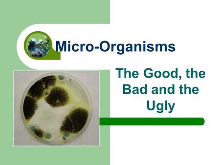 The Good, the Bad and the Ugly Micro-Organisms. Micro-organisms can be both beneficial and harmful to humans They play an important role in our daily.