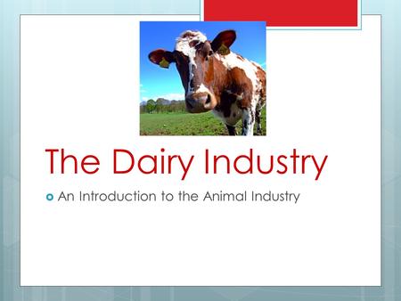 The Dairy Industry An Introduction to the Animal Industry.