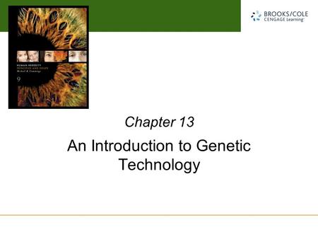 Michael Cummings David Reisman University of South Carolina An Introduction to Genetic Technology Chapter 13.