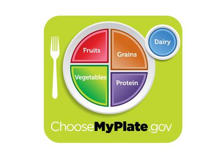 History of the USDA Food Guides New Food Guide Goals Balancing Calories – Enjoy your food, but eat less. – Avoid oversized portions. Foods to Increase.
