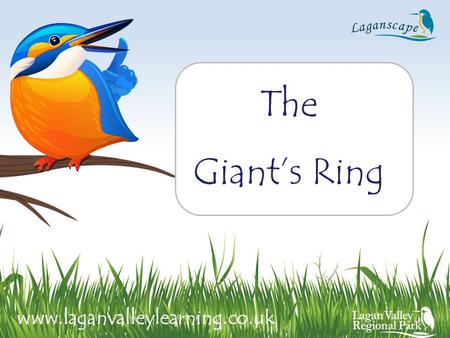 The Giant’s Ring www.laganvalleylearning.co.uk. Circular enclosure 180 meters in diameter. In the middle of the enclosure stands the remains of a stone.