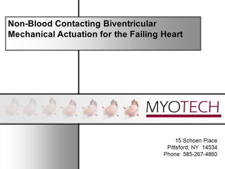 15 Schoen Place Pittsford, NY 14534 Phone: 585-267-4860 Non-Blood Contacting Biventricular Mechanical Actuation for the Failing Heart.