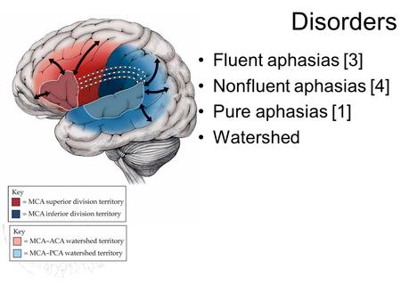 Disorders Fluent aphasias [3] Nonfluent aphasias [4] Pure aphasias [1] Watershed.