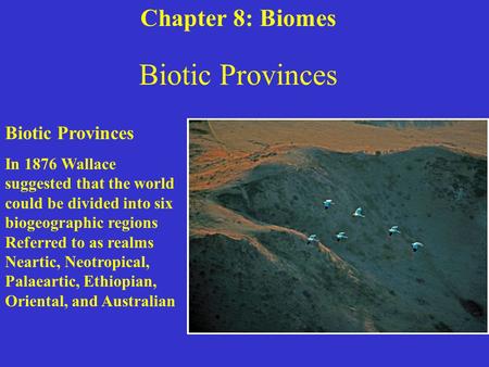 Biotic Provinces In 1876 Wallace suggested that the world could be divided into six biogeographic regions Referred to as realms Neartic, Neotropical, Palaeartic,
