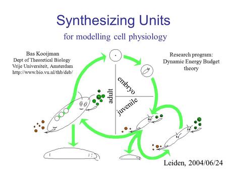 Synthesizing Units for modelling cell physiology Bas Kooijman Dept of Theoretical Biology Vrije Universiteit, Amsterdam  Leiden,