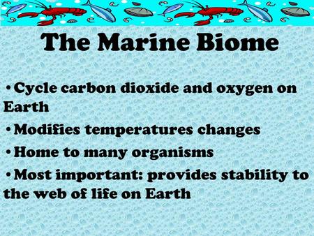 The Marine Biome Cycle carbon dioxide and oxygen on Earth