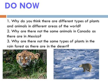 DO NOW 1. Why do you think there are different types of plants and animals in different areas of the world? 2. Why are there not the same animals in Canada.