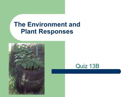 The Environment and Plant Responses