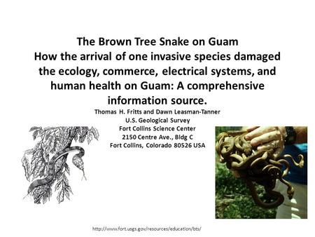 The Brown Tree Snake on Guam How the arrival of one invasive species damaged the ecology, commerce, electrical systems, and human health on Guam: A comprehensive.