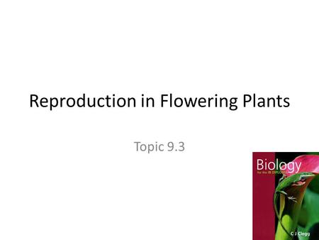 Reproduction in Flowering Plants Topic 9.3. Why flowers? They smell good They are colorful They produce tasty nectar They attract pollinators.