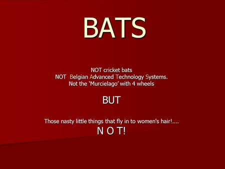 BATS NOT cricket bats NOT Belgian Advanced Technology Systems. Not the ‘Murcielago’ with 4 wheels BUT Those nasty little things that fly in to women's.