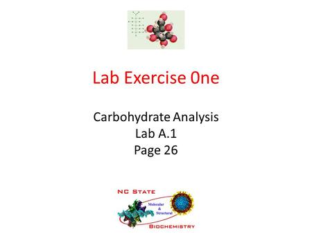 Carbohydrate Analysis Lab A.1 Page 26