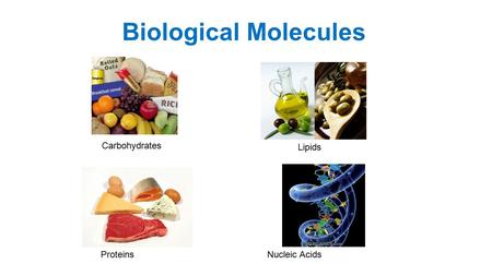 Biological Molecules Lipids ProteinsNucleic Acids Carbohydrates.