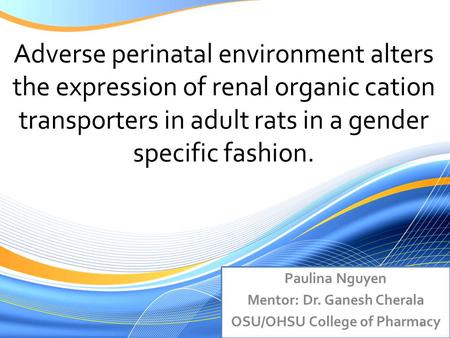 Adverse perinatal environment alters the expression of renal organic cation transporters in adult rats in a gender specific fashion. Paulina Nguyen Mentor: