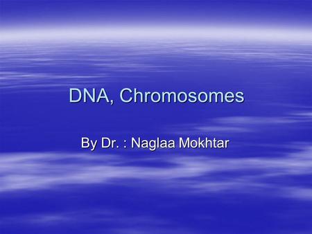 DNA, Chromosomes By Dr. : Naglaa Mokhtar. DNA Structure.