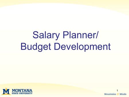 Salary Planner/ Budget Development