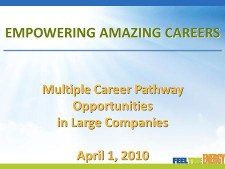 EMPOWERING AMAZING CAREERS Multiple Career Pathway Opportunities in Large Companies April 1, 2010.