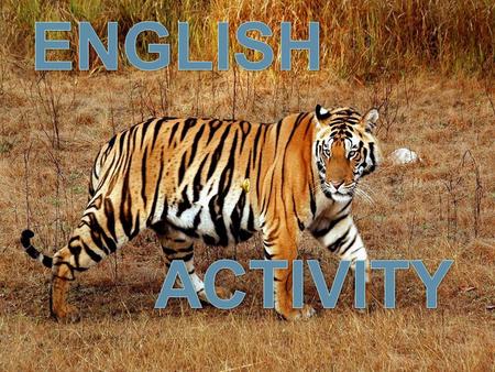 ENGLISH ACTIVITY Save Tigers.
