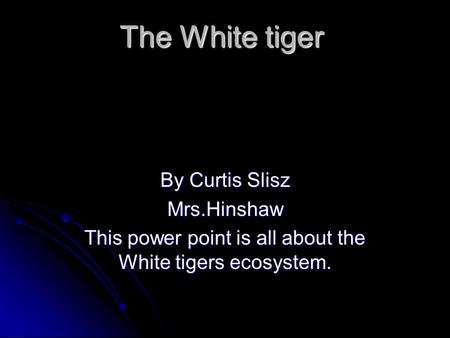 This power point is all about the White tigers ecosystem.