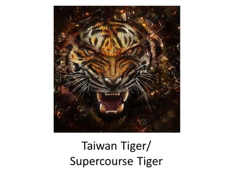 Taiwan Tiger/ Supercourse Tiger. 2012 Taiwan Health Forum Department of Health Executive Yuan (Taiwan) Ministry of Foreign Affairs, R.O.C. (Taiwan) Public.