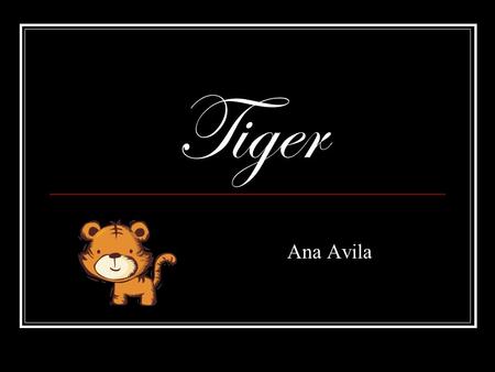 Tiger Ana Avila. Siberian tiger basic information The Siberian tiger has a few other types of names, for example the Amur tiger, china tiger and other.