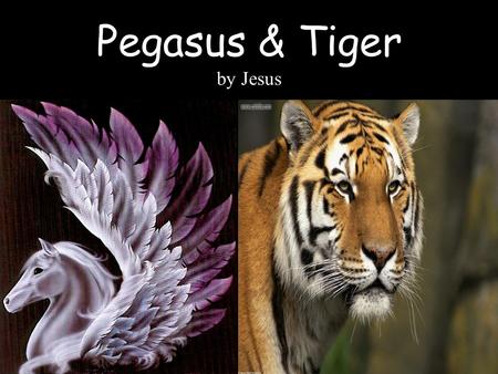 Pegasus & Tiger by Jesus. While Pegasus was born in Greek Mythology, Tiger is a real animal that everyone knows is real.