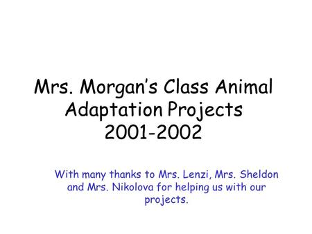 Mrs. Morgan’s Class Animal Adaptation Projects