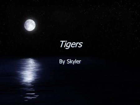 Tigers By Skyler. The diet FThe diet is gazelles.