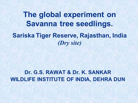 Dr. G.S. RAWAT & Dr. K. SANKAR WILDLIFE INSTITUTE OF INDIA, DEHRA DUN The global experiment on Savanna tree seedlings. Sariska Tiger Reserve, Rajasthan,