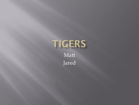 Matt Jared. What is a tiger?Page 1 What does a tiger eat? Page 2 Where do tigers live?Page 3 IndexPage 4 GlossaryPage 5.