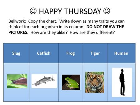 HAPPY THURSDAY Bellwork: Copy the chart. Write down as many traits you can think of for each organism in its column. DO NOT DRAW THE PICTURES. How are.