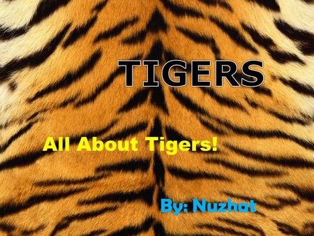 TIGERS All About Tigers! By: Nuzhat.