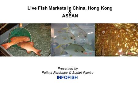 Presented by Fatima Ferdouse & Sudari Pawiro INFOFISH Live Fish Markets in China, Hong Kong & ASEAN.