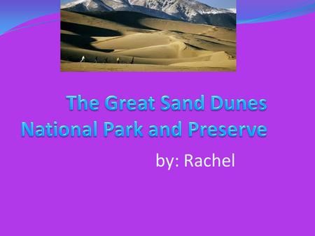 By: Rachel. Where the park is located The Great Sand Dunes National Park is located in parts of Alamosa County and Saguache County in Colorado, in the.