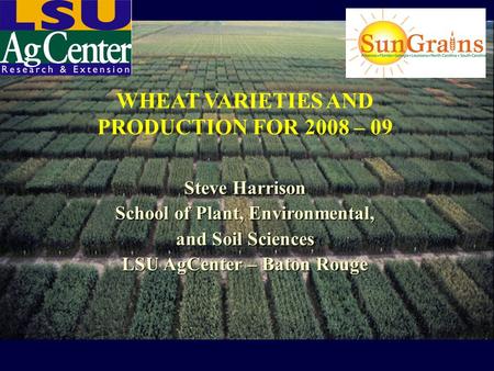 WHEAT VARIETIES AND PRODUCTION FOR 2008 – 09 Steve Harrison School of Plant, Environmental, and Soil Sciences LSU AgCenter – Baton Rouge.