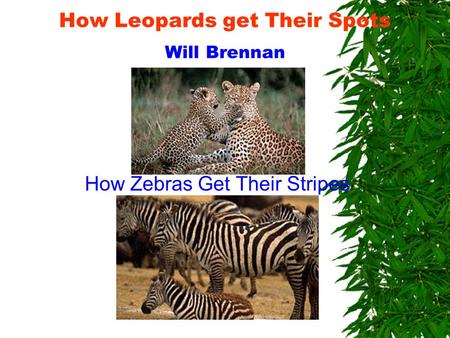 How Leopards get Their Spots Will Brennan How Zebras Get Their Stripes.
