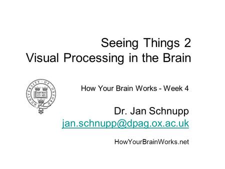 Seeing Things 2 Visual Processing in the Brain How Your Brain Works - Week 4 Dr. Jan Schnupp HowYourBrainWorks.net.