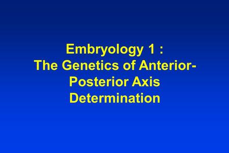 Embryology 1 : The Genetics of Anterior- Posterior Axis Determination.