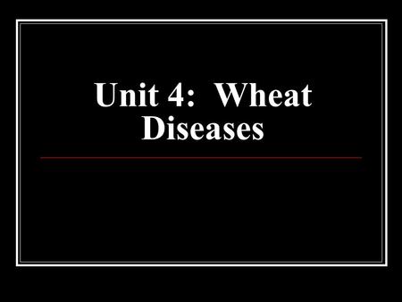 Unit 4: Wheat Diseases. Rusts Three forms can affect wheat (all fungal forms) Stem rust Leaf rust Stripe rust Stem Rust Most destructive wheat disease.