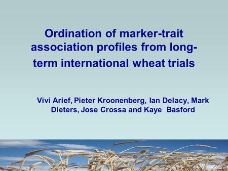 Ordination of marker-trait association profiles from long- term international wheat trials Vivi Arief, Pieter Kroonenberg, Ian Delacy, Mark Dieters, Jose.