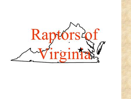 Raptors of Virginia. Vultures The carrion eaters.