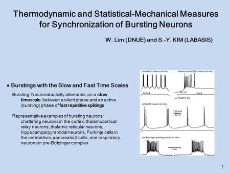Thermodynamic and Statistical-Mechanical Measures for Synchronization of Bursting Neurons W. Lim (DNUE) and S.-Y. KIM (LABASIS)  Burstings with the Slow.