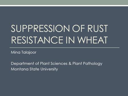 SUPPRESSION OF RUST RESISTANCE IN WHEAT Mina Talajoor Department of Plant Sciences & Plant Pathology Montana State University.