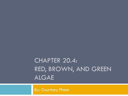 CHAPTER 20.4: RED, BROWN, AND GREEN ALGAE By: Courtney Pham.