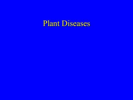 Plant Diseases Did not include Hawthorne leaf blight, mosaic, or Rhabdocline leaf cast.