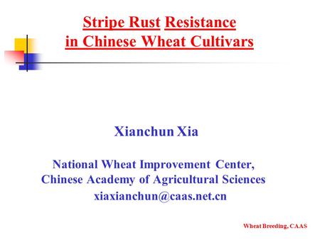 Stripe Rust Resistance in Chinese Wheat Cultivars Xianchun Xia National Wheat Improvement Center, Chinese Academy of Agricultural Sciences