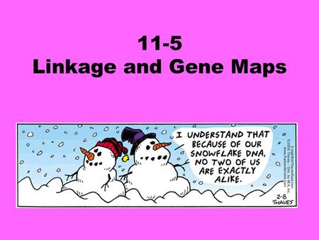 11-5 Linkage and Gene Maps.