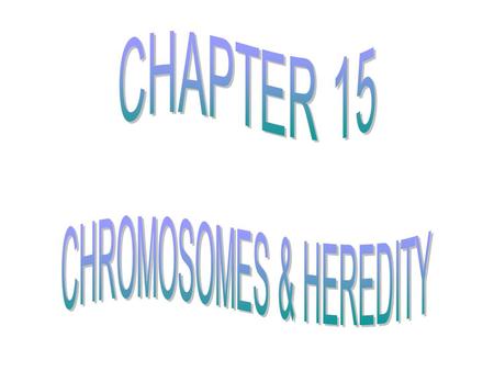 CHROMOSOMES & HEREDITY